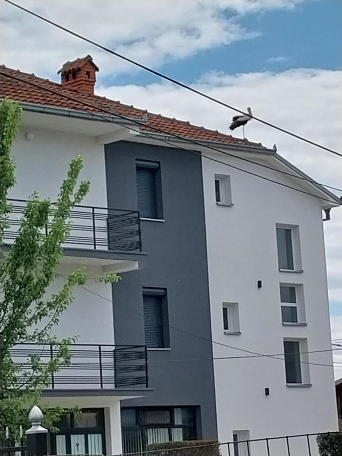 Ambient Apartments Struga Exteriör bild